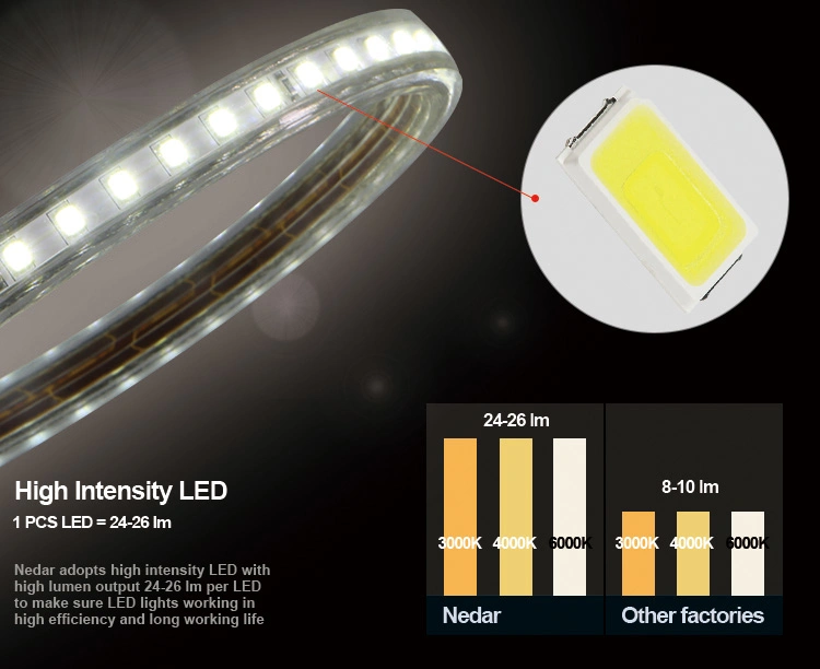 ETL Cert UL Standard 120V LED Strip Warrm White Waterproof IP65