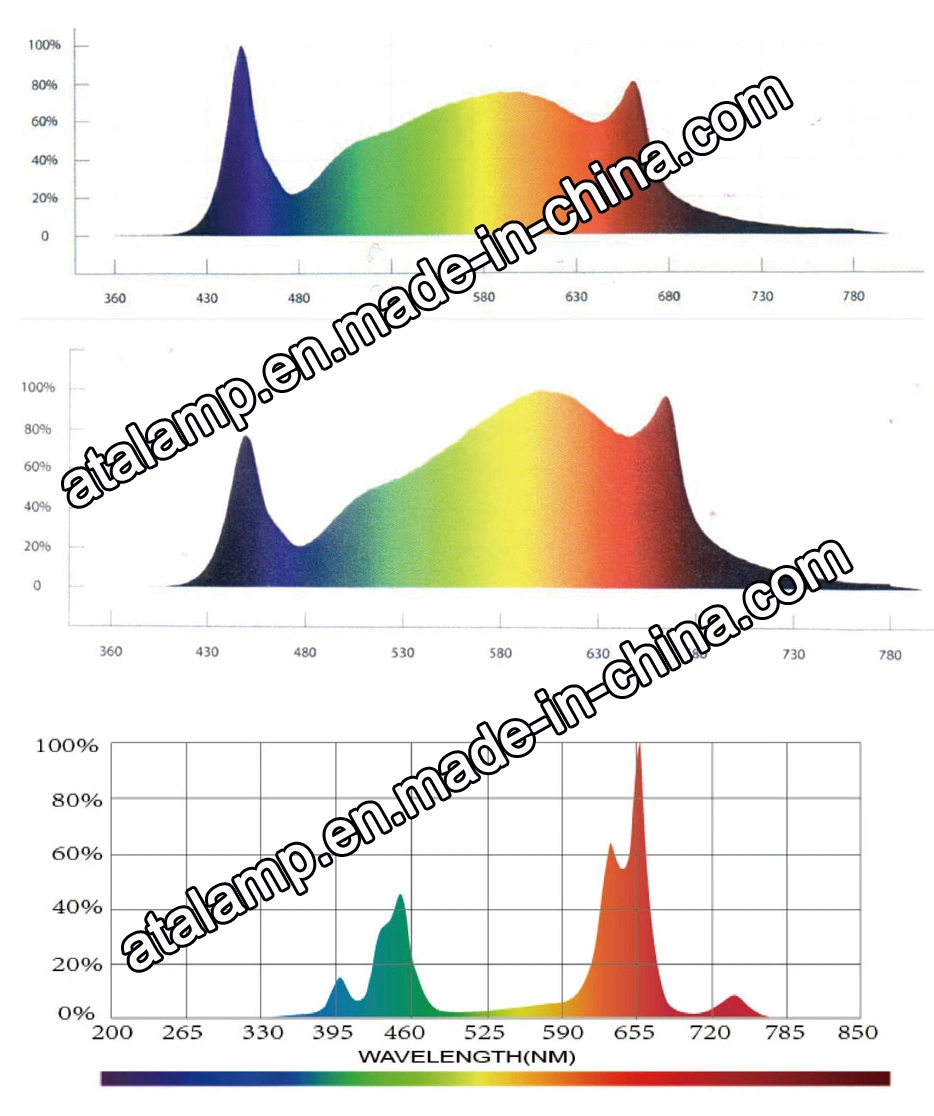 12V/110V/120V/100-277V SMD 5050/3030 50W/75W/80W/100W/150W/300W/400W/450W/500W/600W/650W/700W/800W/900W/1000W/1200W/1500W Greenhouse Hydroponic LED Strip Grow L