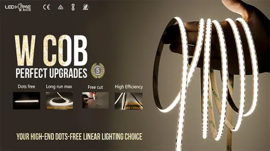 High Brightness Big View Angle DOT Free 24V Flexible Csp RGB LED Strip