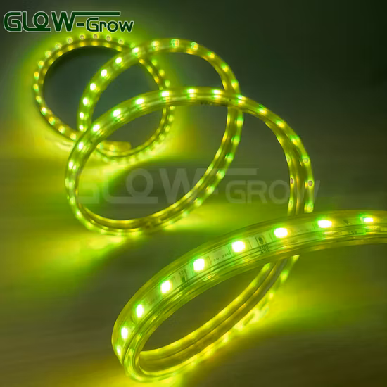 Striscia LED IP65 110V 120V 220V 230V AC 5050 Striscia LED ad alta tensione dimmerabile flessibile impermeabile a colori RGB per decorazioni commerciali di livello commerciale